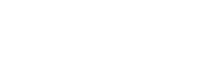 Flavosys