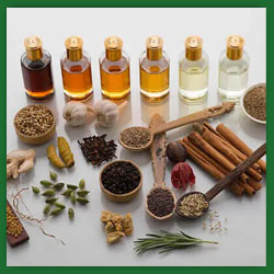 Savoury Flavours Manufacturers and Suppliers