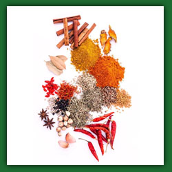 Food Powder Premixes Flavours Manufacturers and Suppliers in Mumbai, Navi Mumbai, Thane and India